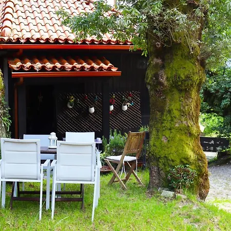 Casa Do Carvalho By Geres Casas *